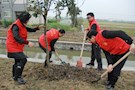 武陵:区委组织部开展祭奠先烈、义务植树活动