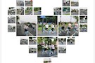 美源金控党支部 “环保出行 骑乐无穷 青春党建”活动