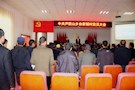 莫汉桃指导台家铺村党组织换届选举